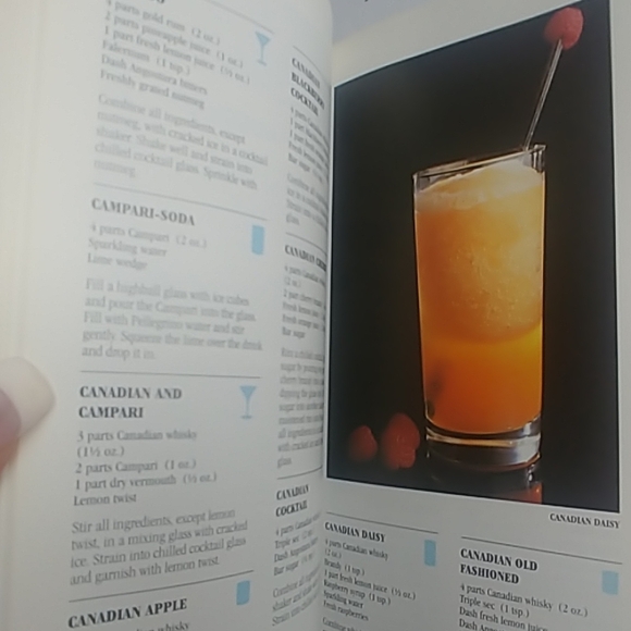The Martini Book/New York Bartenders Guide Book - Picture 5 of 6